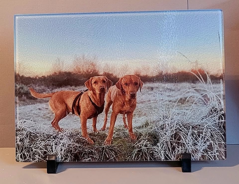 A4 and A3 Chopping Boards - Chinchilla