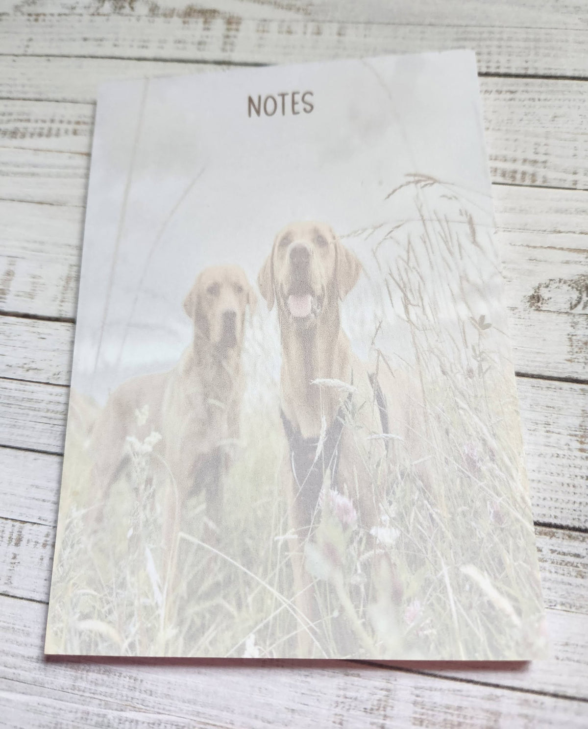 Note Book and Memo Pad